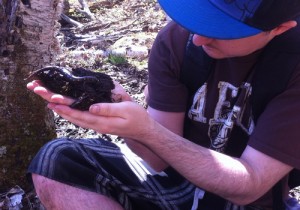 matt-ellerbeck-and-salamander