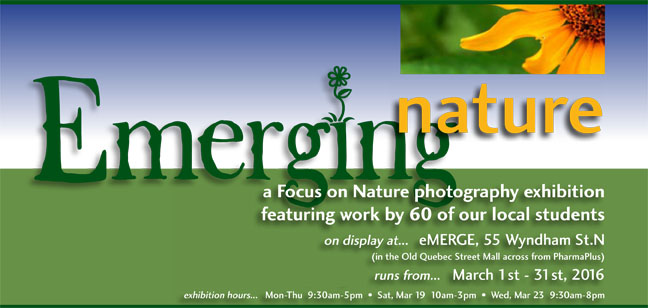 EmergingNature-ebanner_w-info