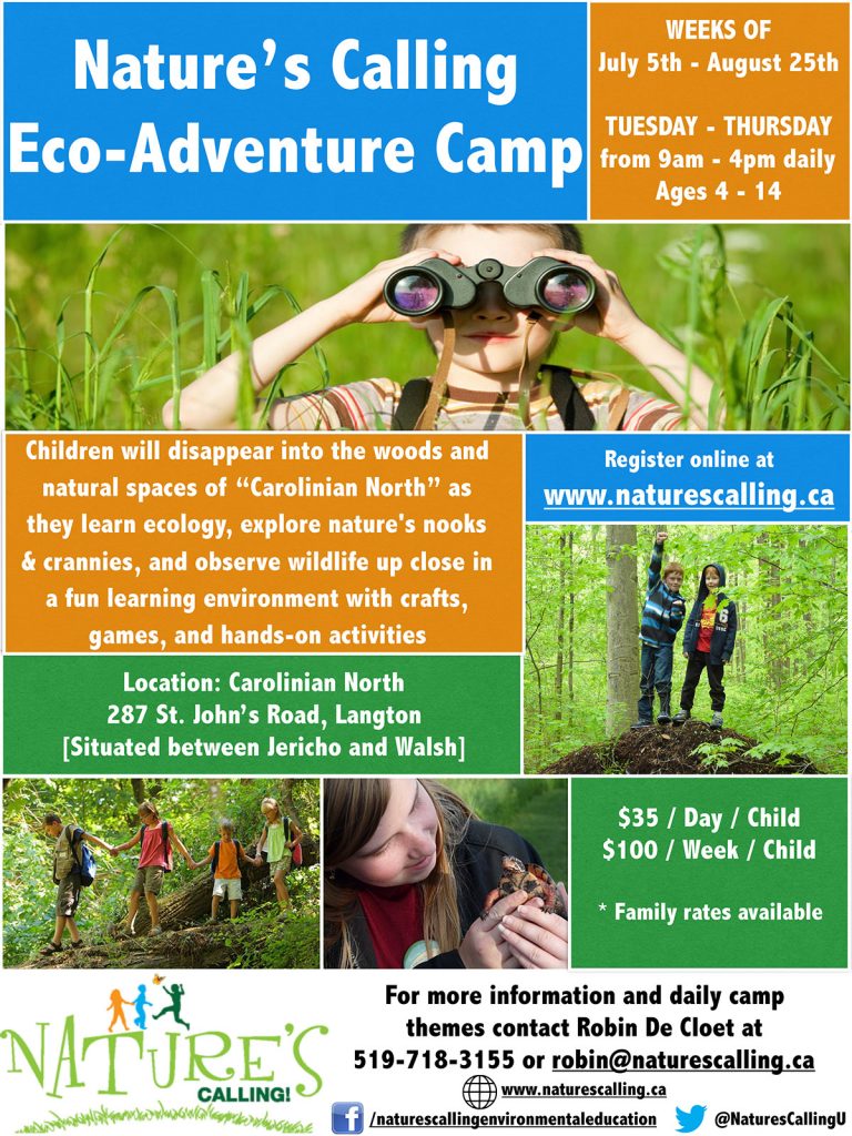 Nature's Calling Day Camp Advertising Poster